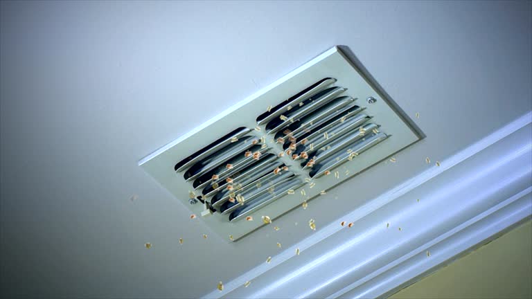 Best Best Air Duct Cleaning Company  in Manson, IA