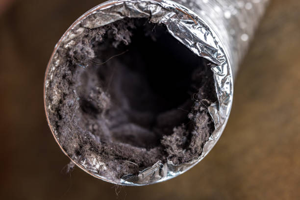 Best Professional Duct Cleaning Services  in Manson, IA