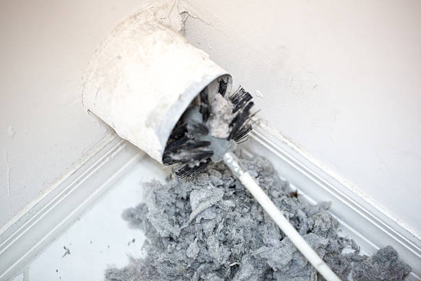 Best Professional Duct Cleaning Services  in Manson, IA